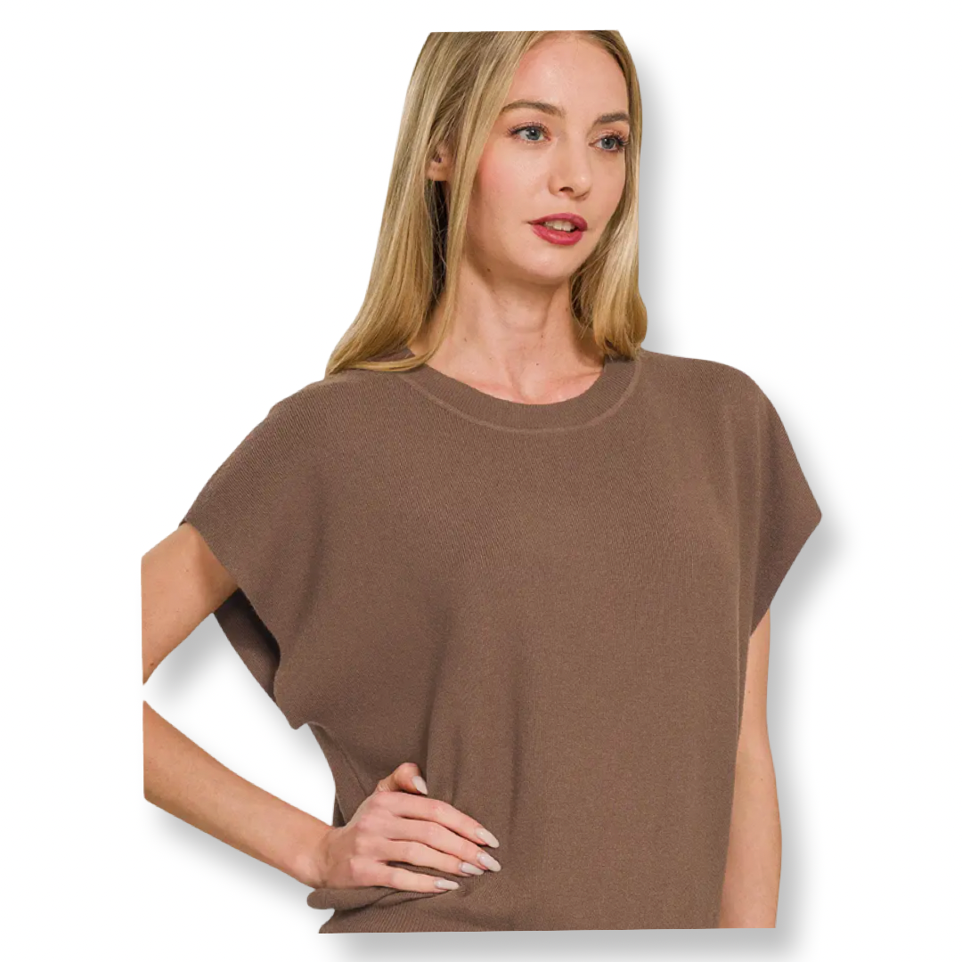 AA Round Neck Short Dolman Sleeve Top Brown