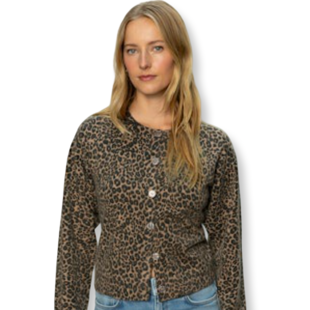 Sanctuary Brown Leopard Cardigan