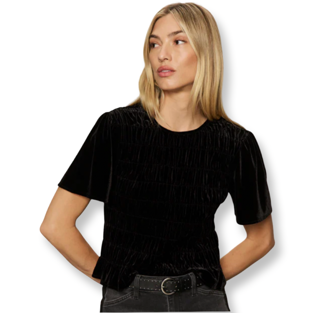 Sanctuary Velvet Top